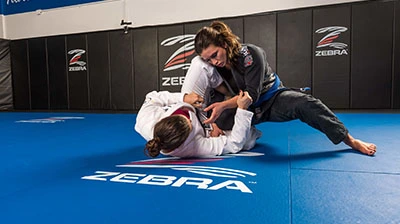 BJJ Facilities